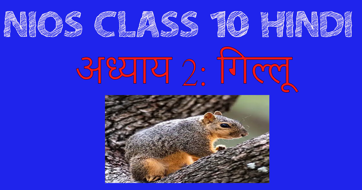 You are currently viewing NIOS Class 10 Hindi Chapter 3-Gillu