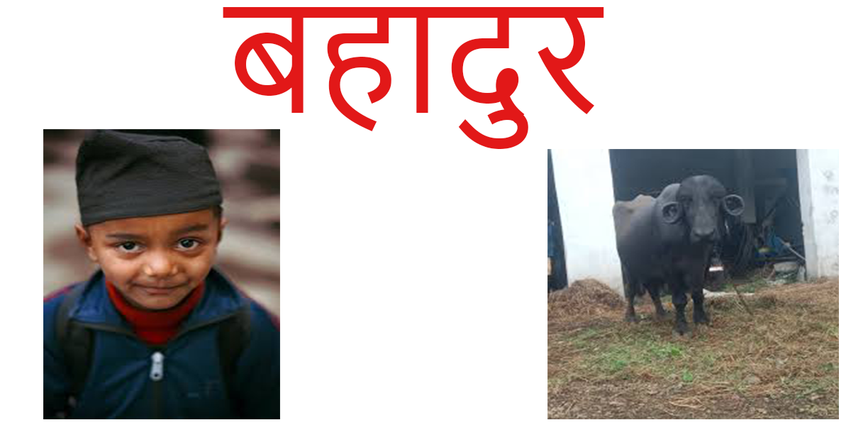 You are currently viewing NIOS Class 10th HINDI BAHADUR