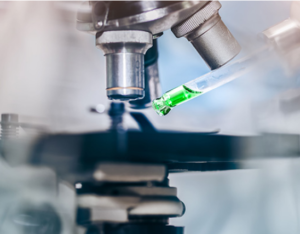 Read more about the article NIOS Board Class 10 Science Chapter 1 – Science and Technology | Top Important Questions