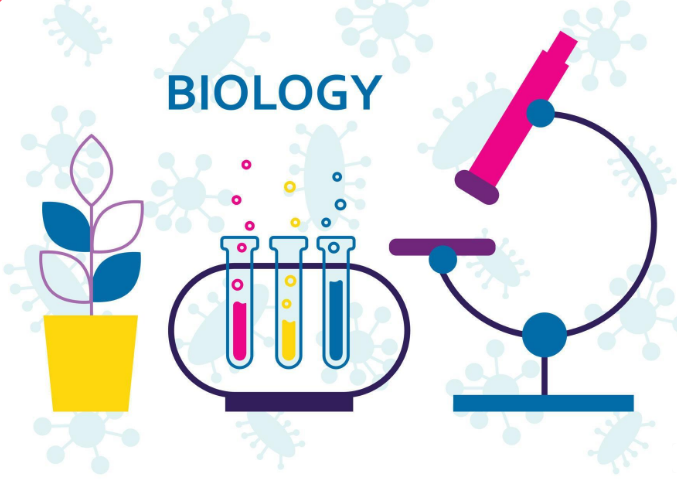 You are currently viewing What is Biology?